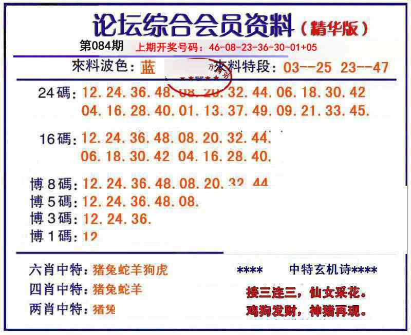 084期综合会员资料[图]